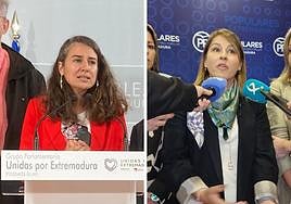 De Miguel en la rueda de prensa que ha ofrecido este viernes en la Asamblea de Extremadura.