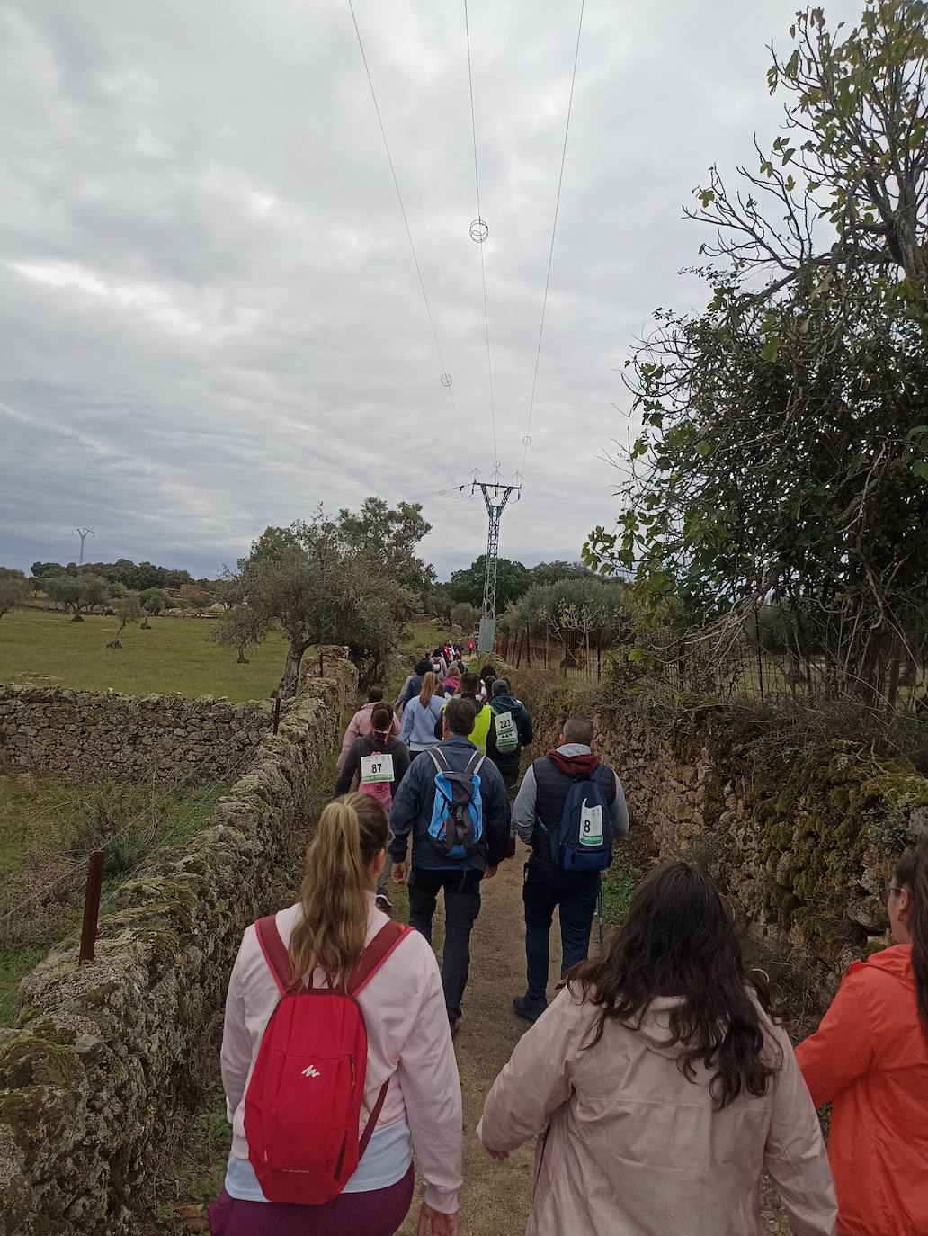 Unas 400 personas participan en la V Marcha Rosa de Alburquerque
