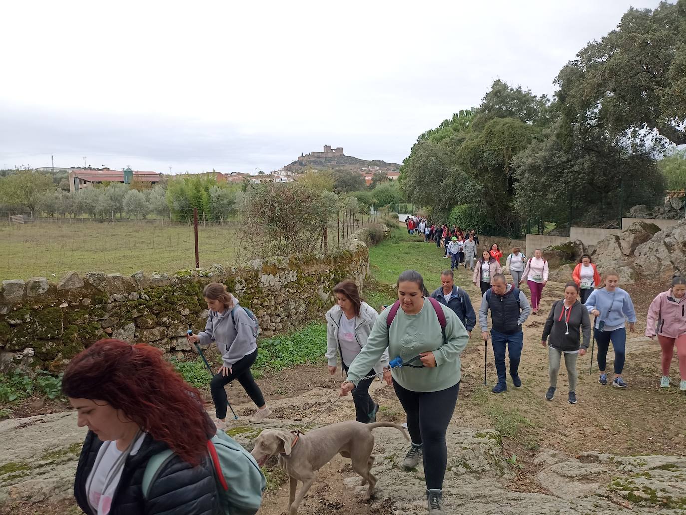 Unas 400 personas participan en la V Marcha Rosa de Alburquerque