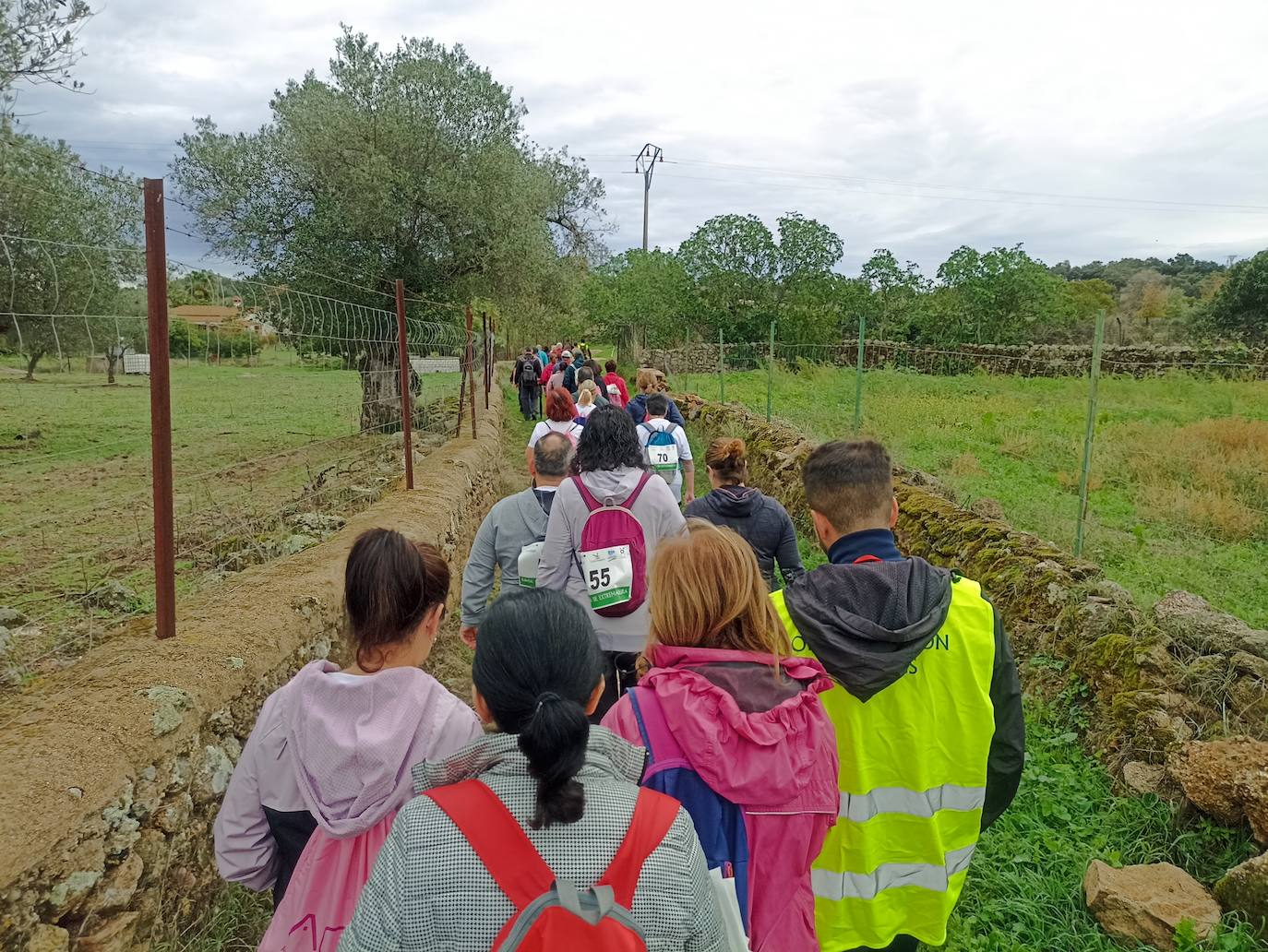 Unas 400 personas participan en la V Marcha Rosa de Alburquerque
