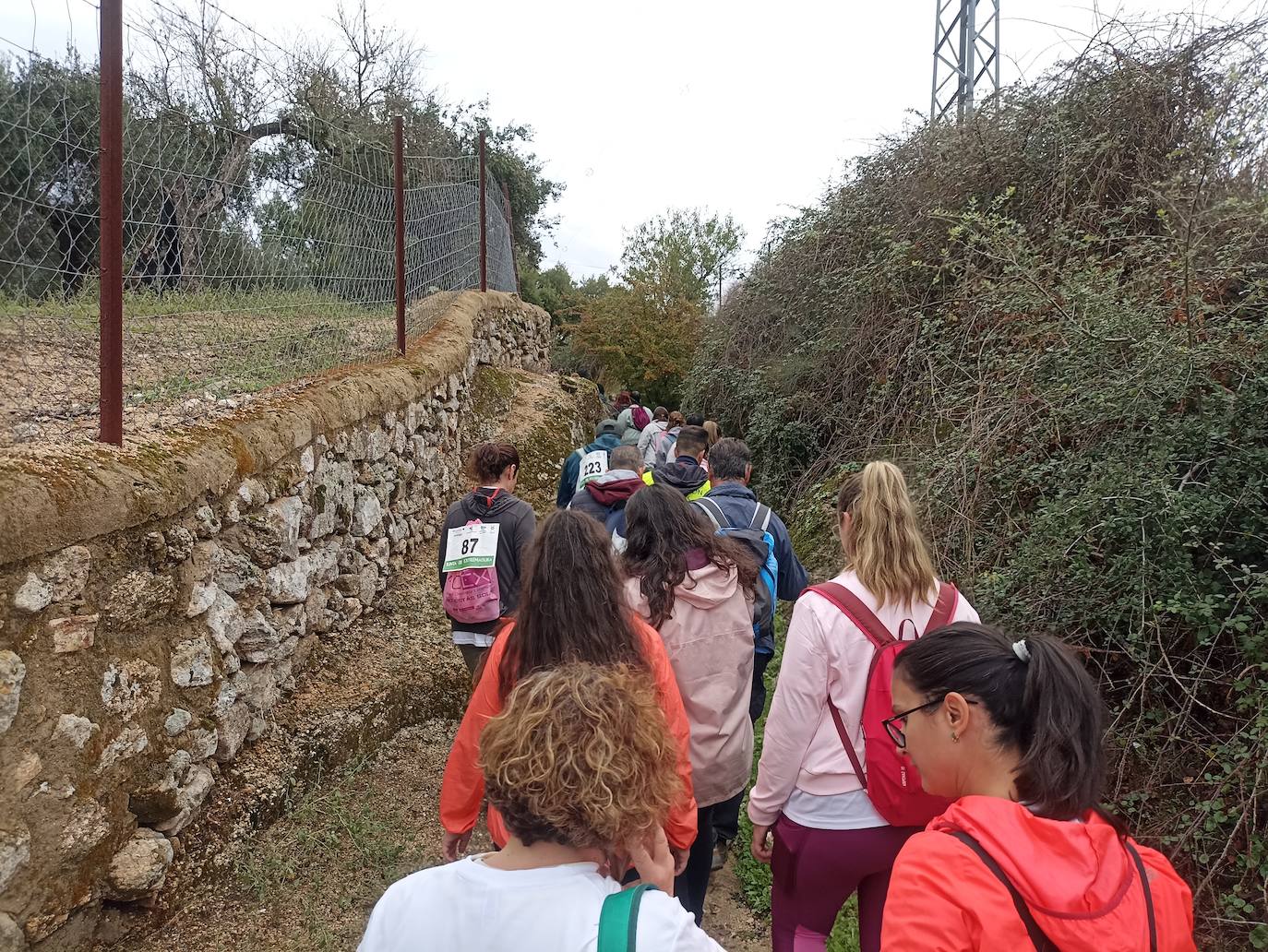 Unas 400 personas participan en la V Marcha Rosa de Alburquerque
