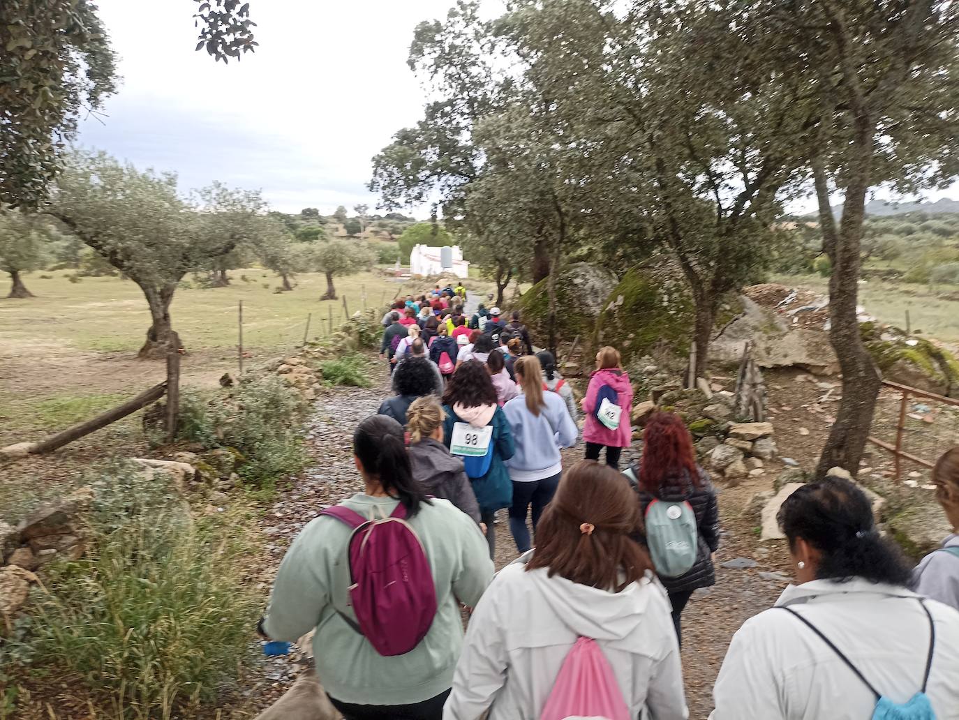 Unas 400 personas participan en la V Marcha Rosa de Alburquerque
