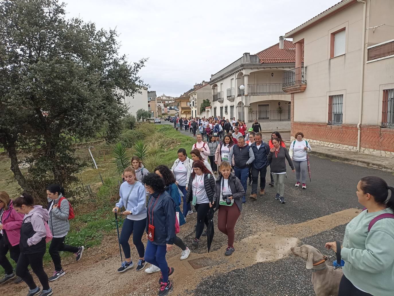 Unas 400 personas participan en la V Marcha Rosa de Alburquerque
