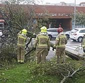 Cáceres cerrará los parques este domingo por la llegada de la borrasca 'Bernard'