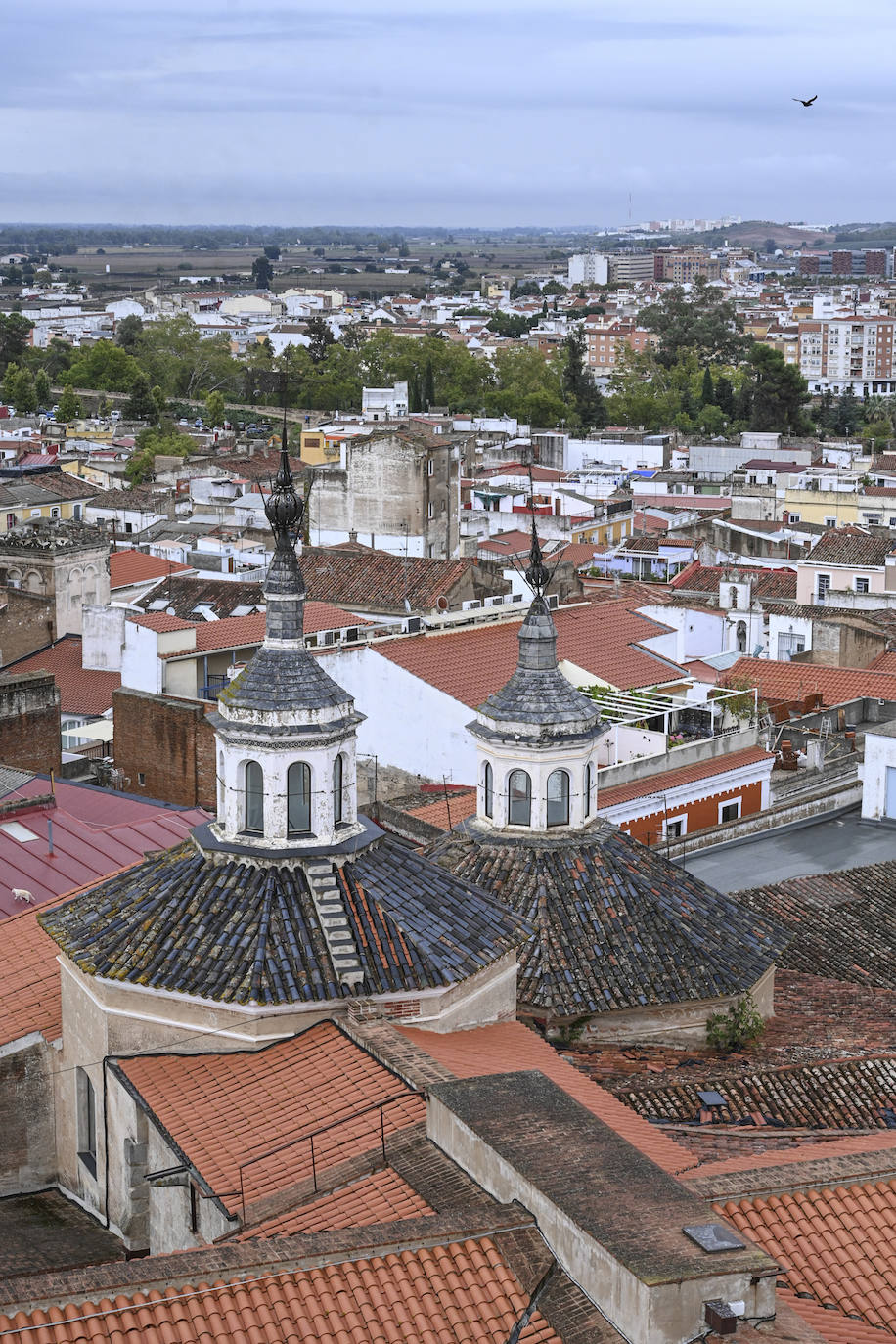 Así se ve Badajoz desde la torre de la catedral