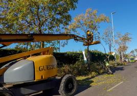 Dos trabajadores realizan labores de poda en Las Vaguadas.