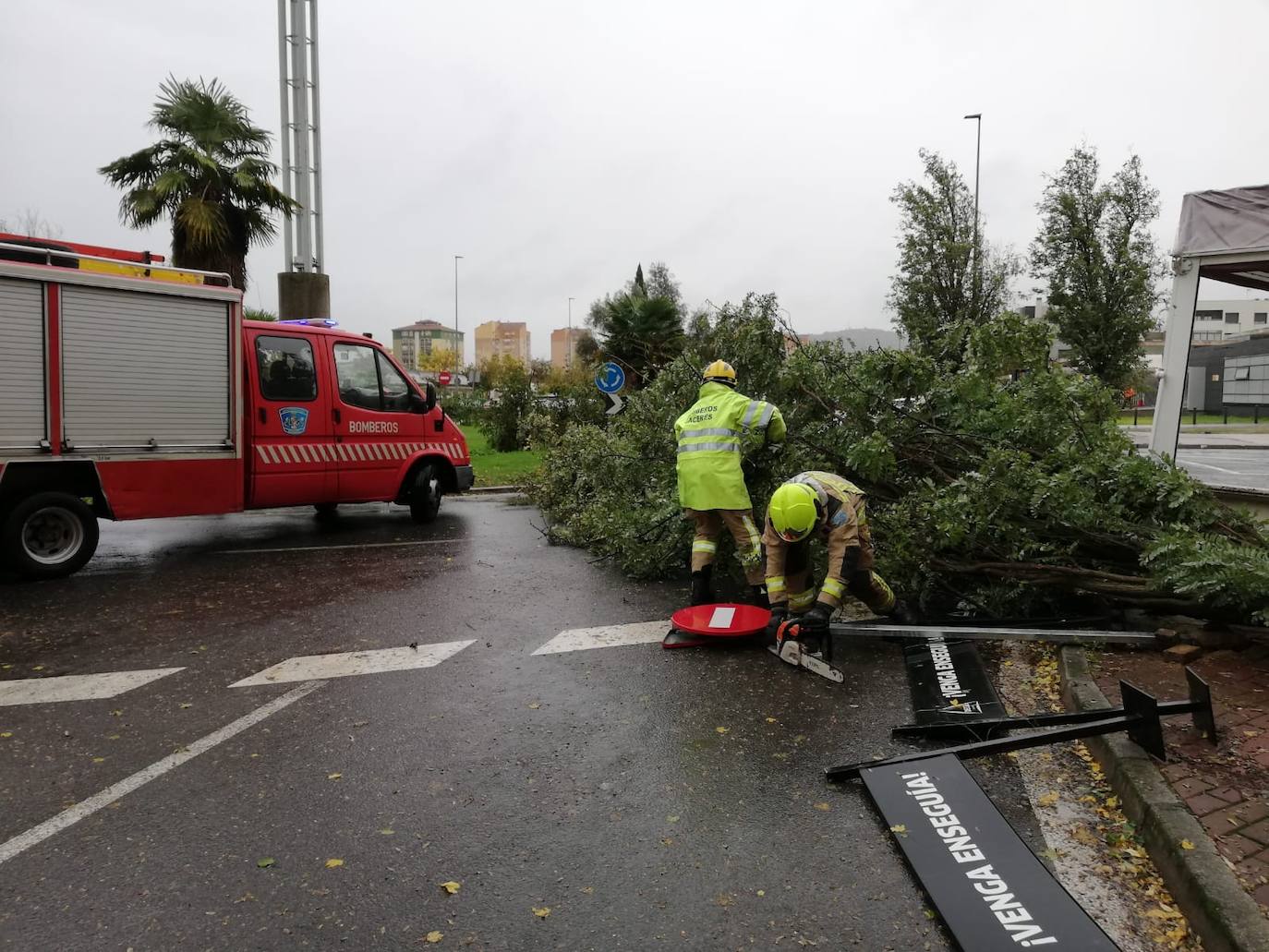 Bomberos de la Diputación de Cáceres retirando árboles derribados por el aire. 