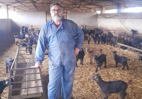 Juan Pedro Domínguez, con animales de su explotación.