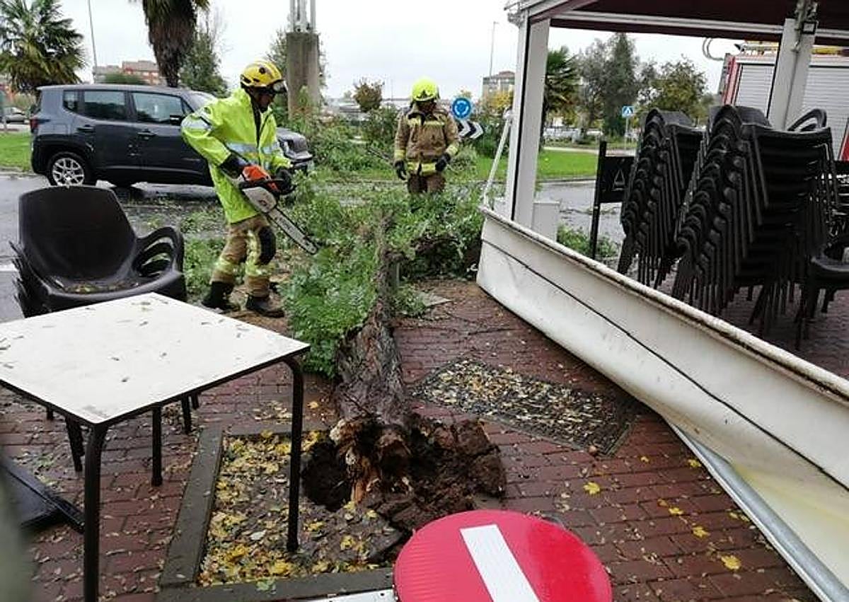 Imagen secundaria 1 - Intervenciones realizadas por los bomberos.
