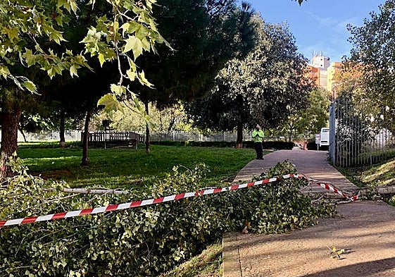 Parque del Rodeo, que tenía una zona precintada este viernes para evitar riesgos. Este sábado vuelve a cerrar por alerta de fuertes rachas de viento junto al resto de parques.
