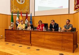 Mesa redonda de egresados de la UEx, este jueves en Plasencia.