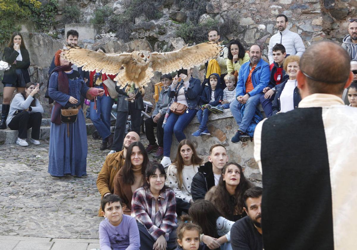 Las rapaces regresan al Mercado Medieval de Cáceres