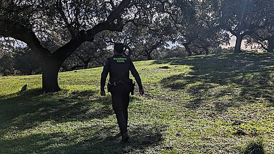 La juez envía a prisión provisional sin fianza al autor de los disparos en Jerez