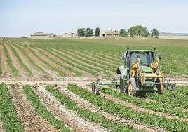 Imagen de archivo de un agricultor arando el campo durante la pasada campaña.