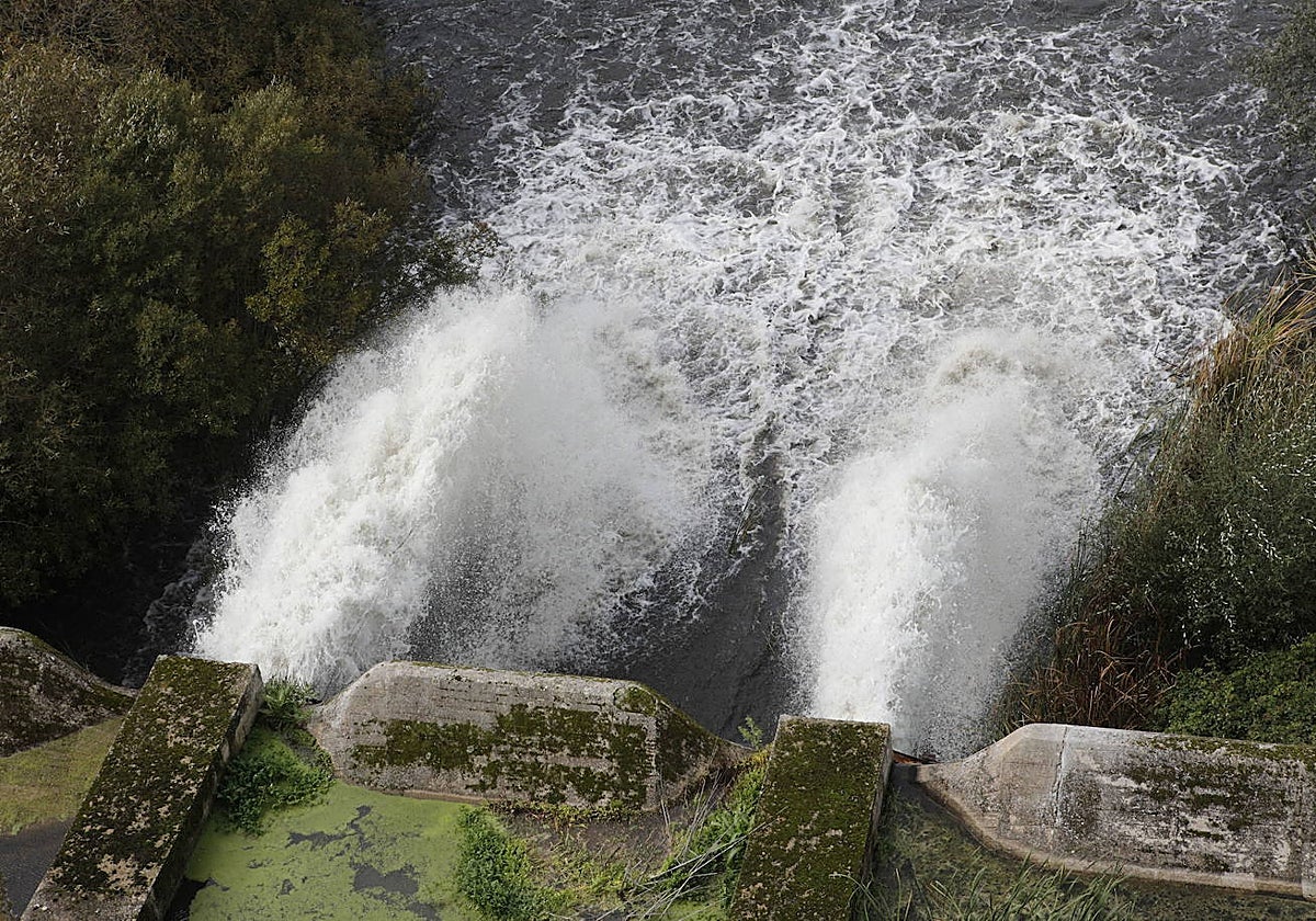 Imágenes de un reciente desembalse del pantano del Guadiloba.