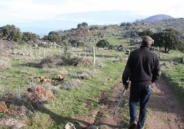 Una batida de jabalíes cerrará el monte público de Valcorchero el 6 de diciembre