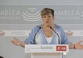 La portavoz del Grupo Socialista en la Asamblea, Soraya Vega.