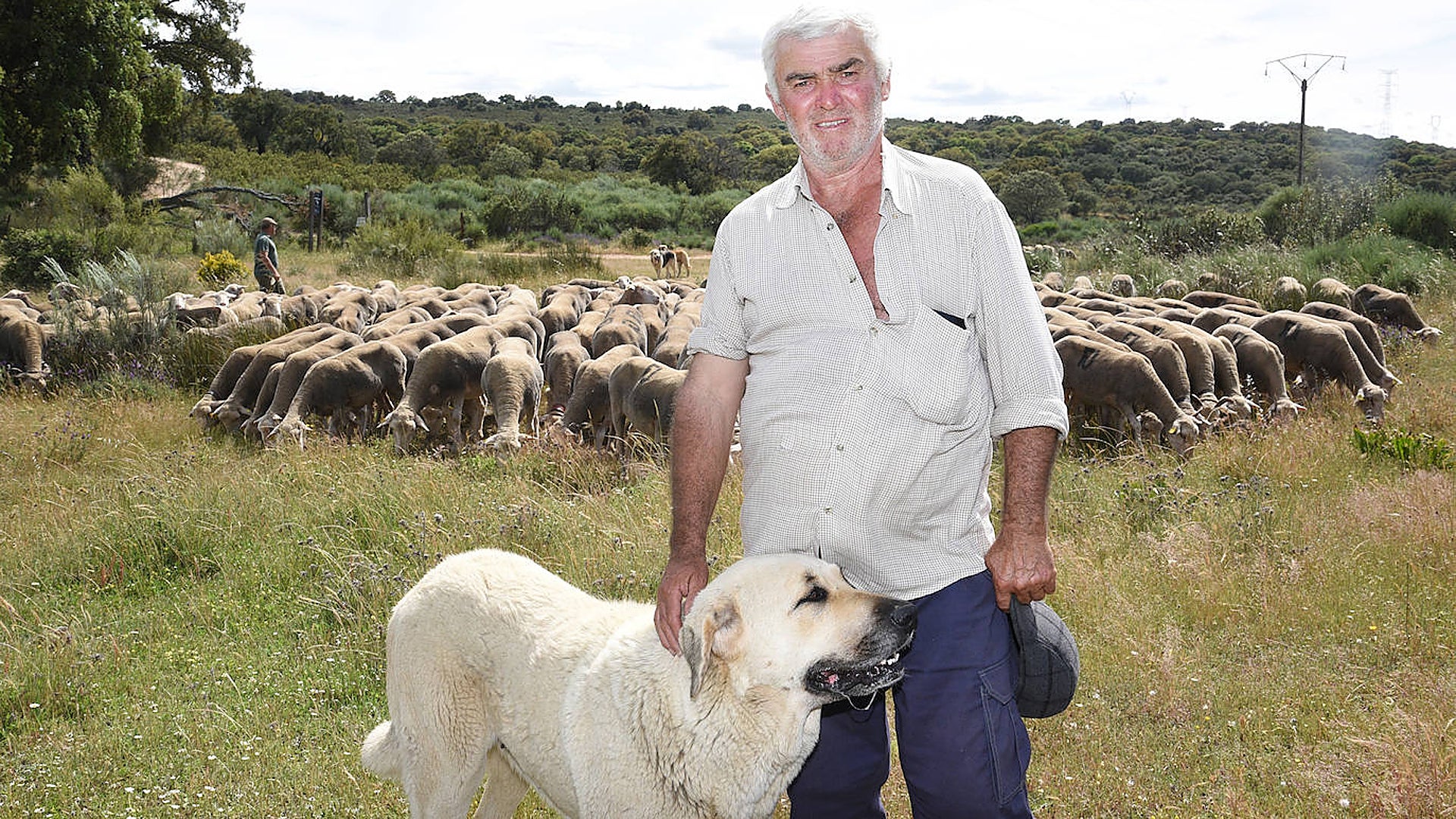 El último trashumante de Extremadura «Lo importante es que arreglen