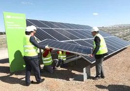 Colocación de la primera placa solar de la planta fotovoltaica de Usagre.