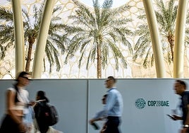 Divergencias climáticas