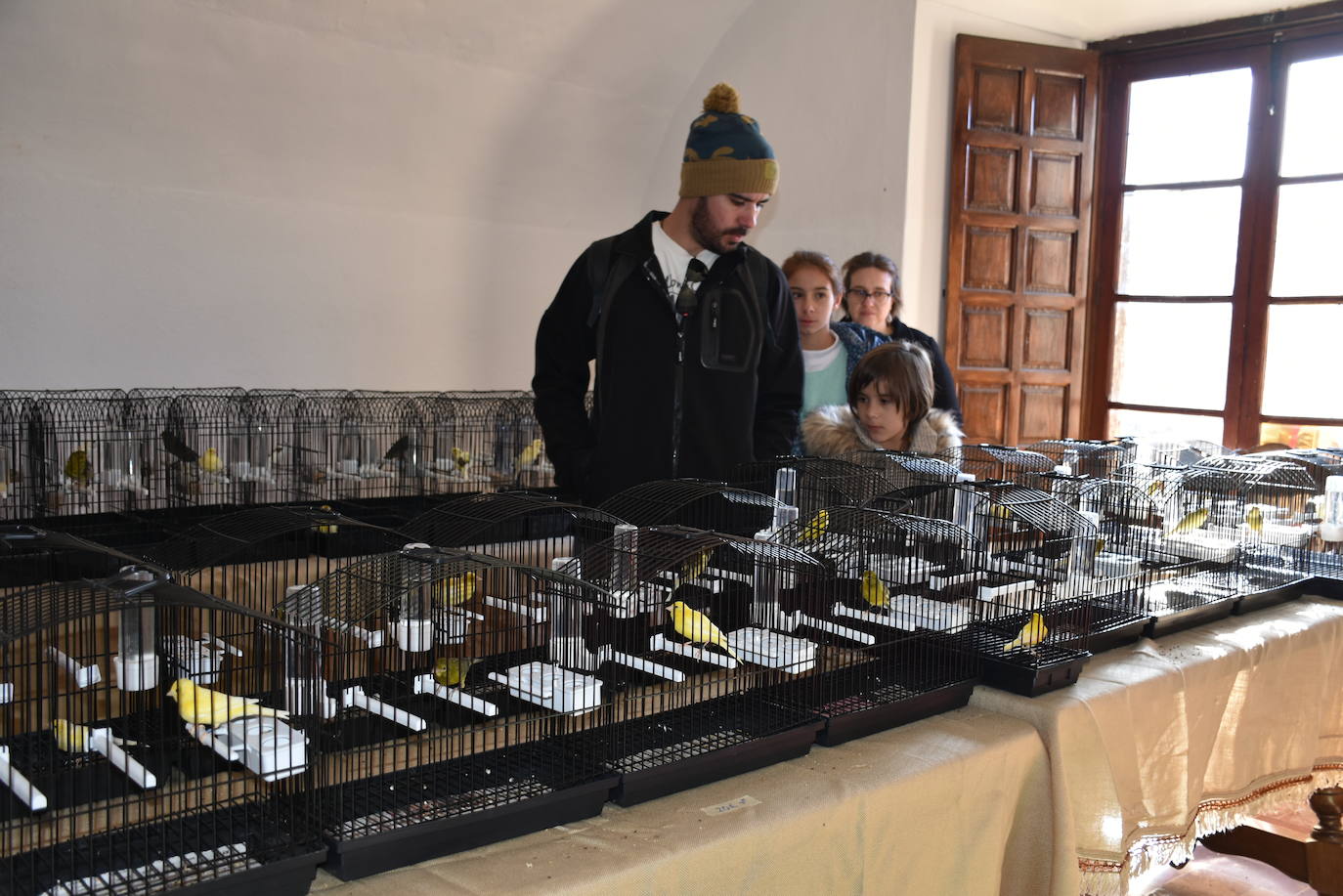 El Castillo de Luna deslumbra para recibir la Navidad