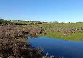 IES Benazaire Explora Ecosistemas de La Siberia