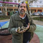 Un vecino encuentra setas mortales en el parque infantil de Ciudad Jardín de Badajoz