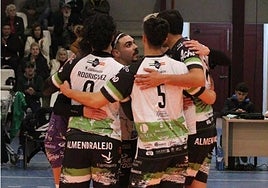 Los jugadores del CV Almendralejo celebran un punto.