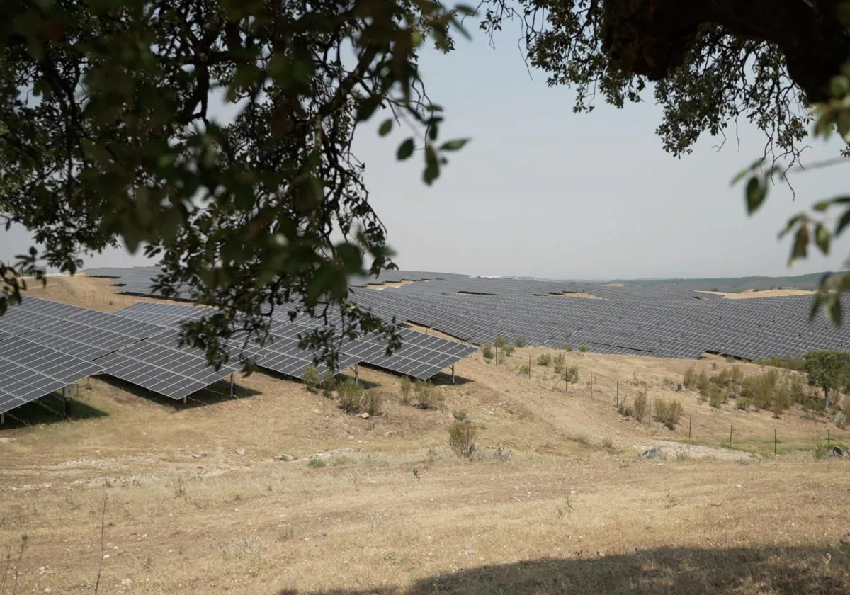 Iberdrola Recibe El Permiso Ambiental Para La Primera Instalación ...