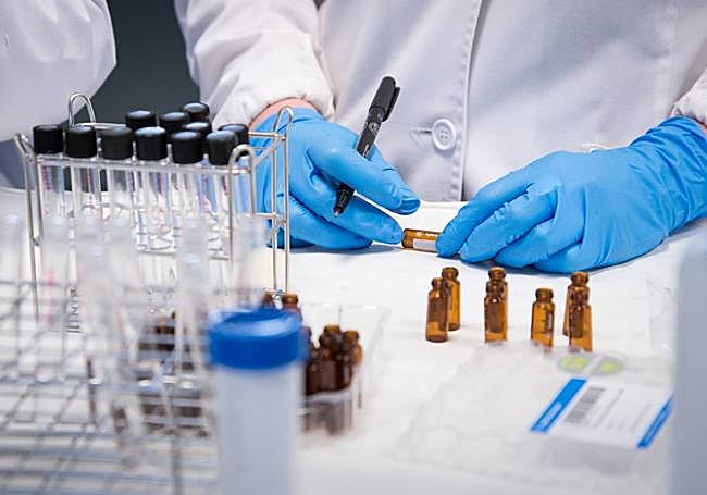 Que contempla refuerzos y nuevos servicios.