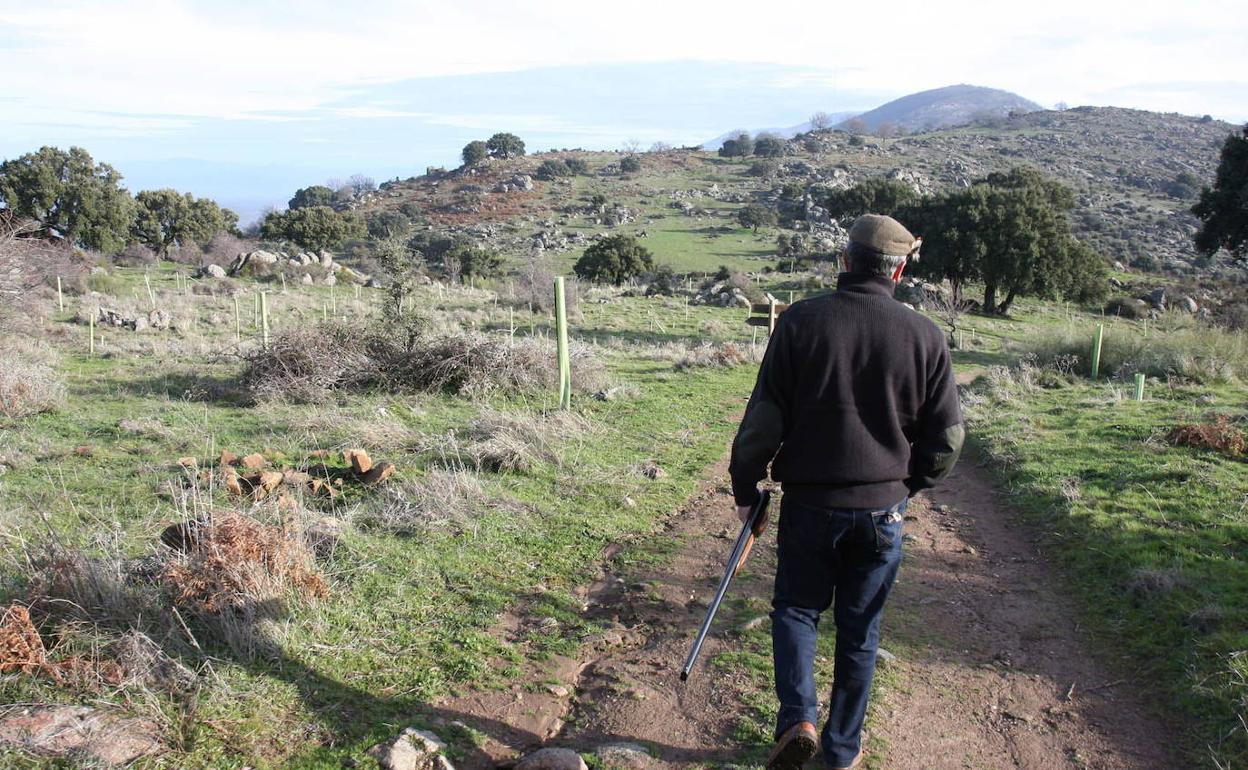 Imagen de archivo de un cazador en el monte público de Valcorchero. 