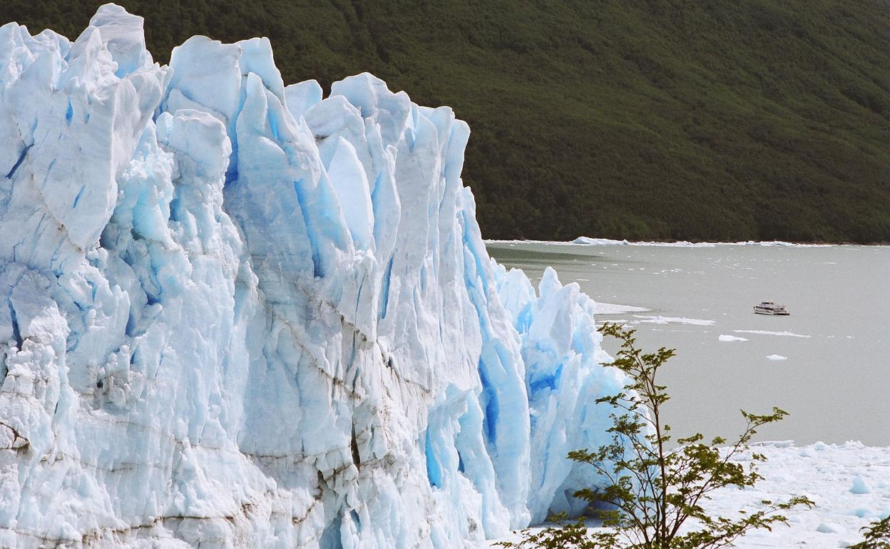 Imponente glaciar se adentro en Lago Argentino, en la Patagonia.