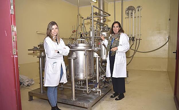 En esta máquina se extraen los principios activos. Lo hacen con agua, el disolvente más natural.