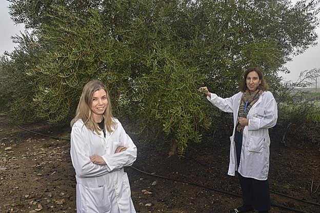 María del Carmen Carrillo y Montserrat Gómez, principales investigadores de Ctaex en Agromatter. 