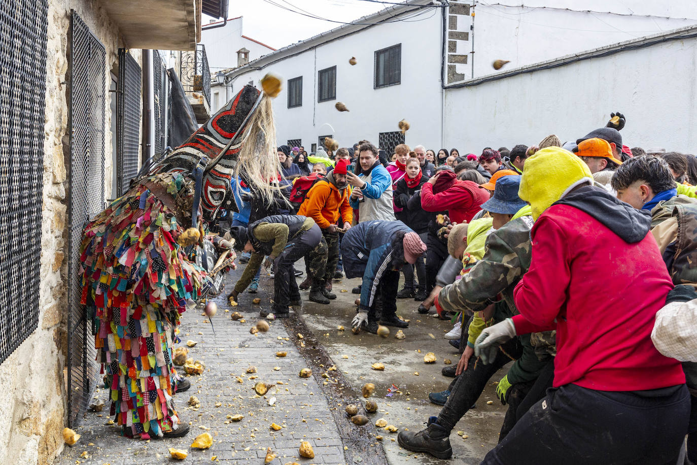 Fotos: Fiestas de Extremadura: Jarramplas vuelve a recibir una lluvia de nabos en Piornal