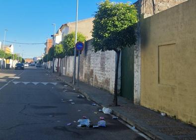 Imagen secundaria 1 - El Ayuntamiento llama a la ciudadanía a mantener limpias las calles de la localidad