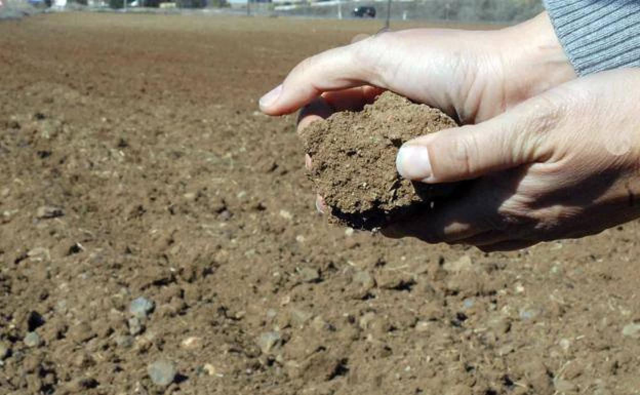 El proyecto generará una gestión sostenible de las tierras y promoverá una economía circular.