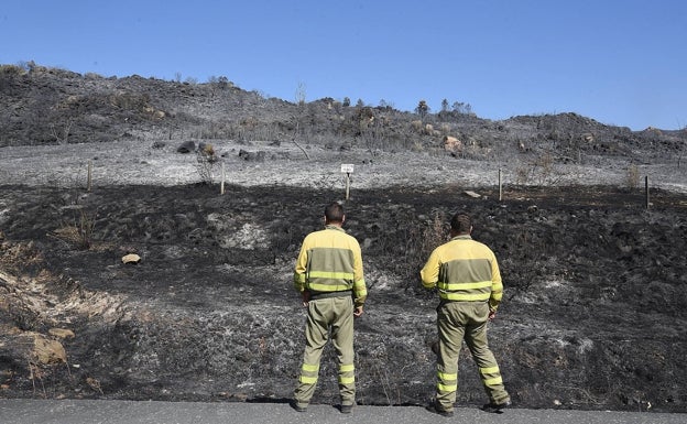 Incendio el pasado verano en Torre de Don Miguel, cerca del pinar de Descargamaría.