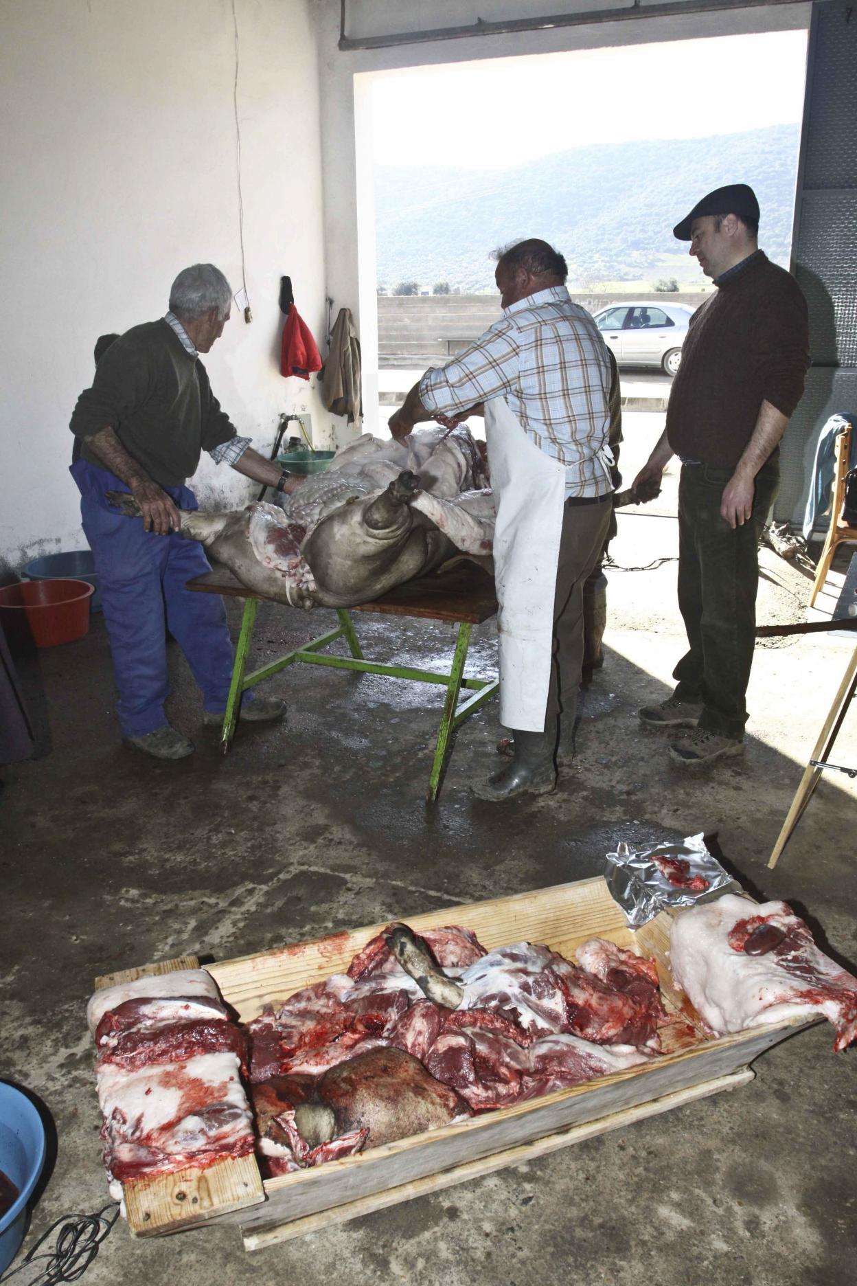 Tradicional matanza extremeña. 