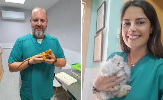 Carlos y Vania son los veterinarios de Amantea. 