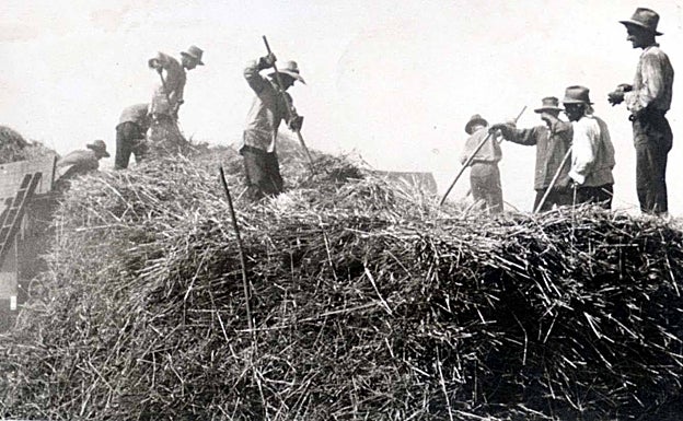 Imagen principal - «Mata a mi marido y estaremos juntos»