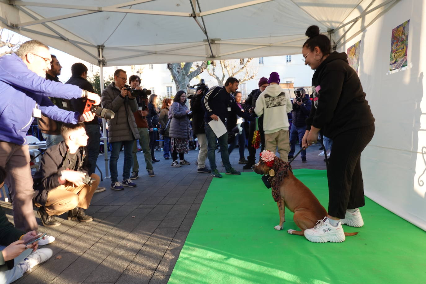 Fotos: Más de 130 mascotas se disfrazan en el primer concurso de animales