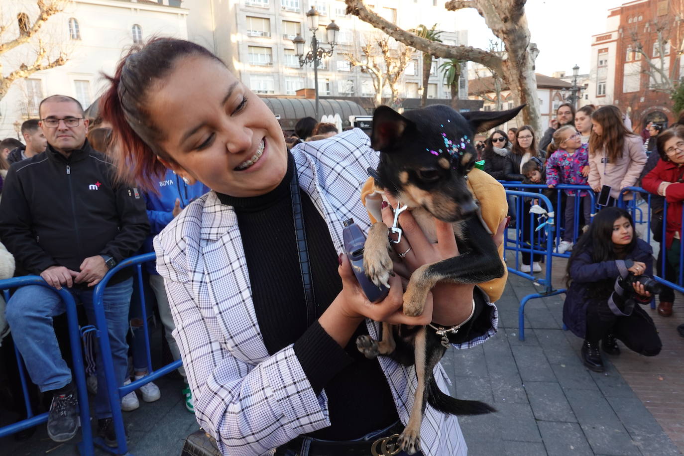 Fotos: Más de 130 mascotas se disfrazan en el primer concurso de animales