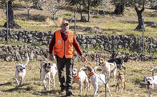 Gil tiene a 34 perros. 