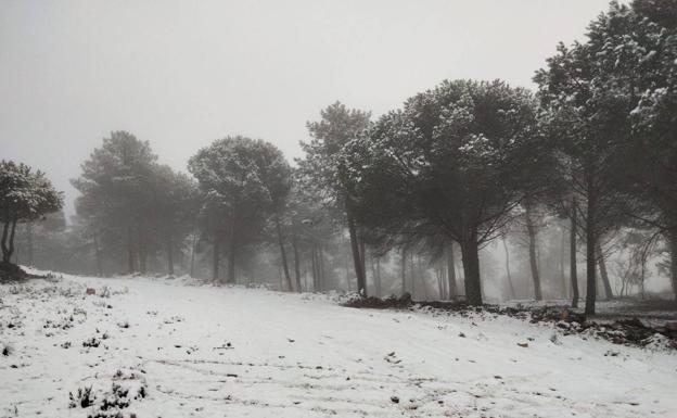 Nieve este sábado en la sierra de Siruela. /VERÓNICA RAYO MANJÓN