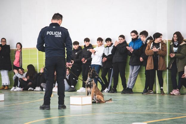 Exhibición de la unidad canina de la Policía Local de Mérida