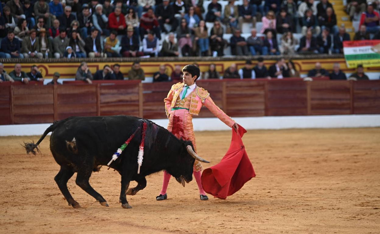 Natural de Sergio Sánchez,en la novillada que abría laferia de Olivenza. 