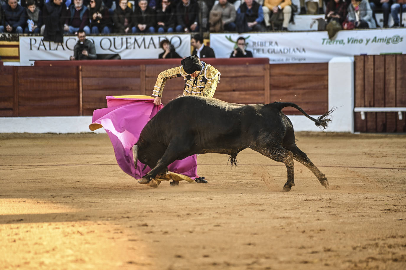 Fotos: Triple triunfo en Olivenza