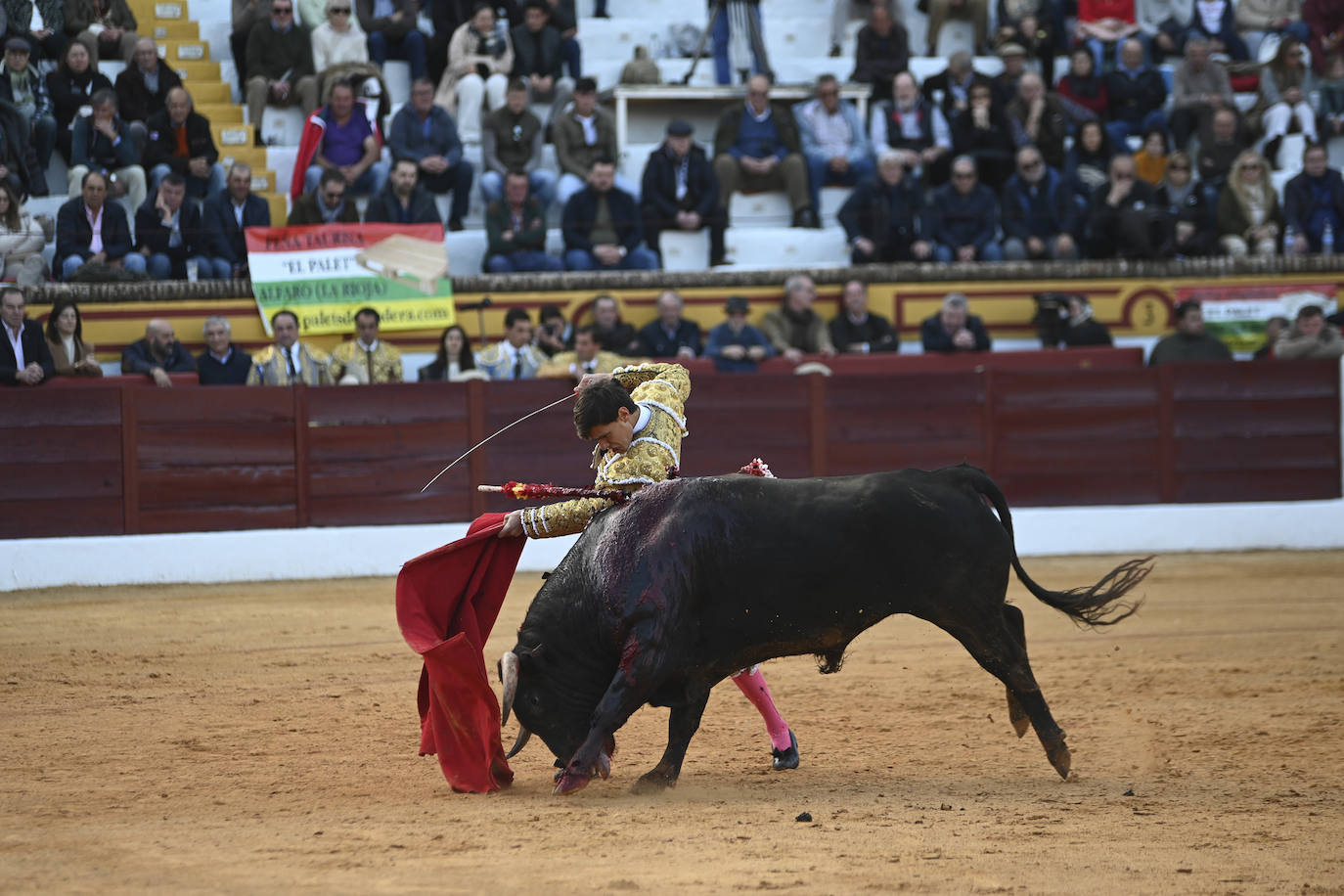 Fotos: Triple triunfo en Olivenza