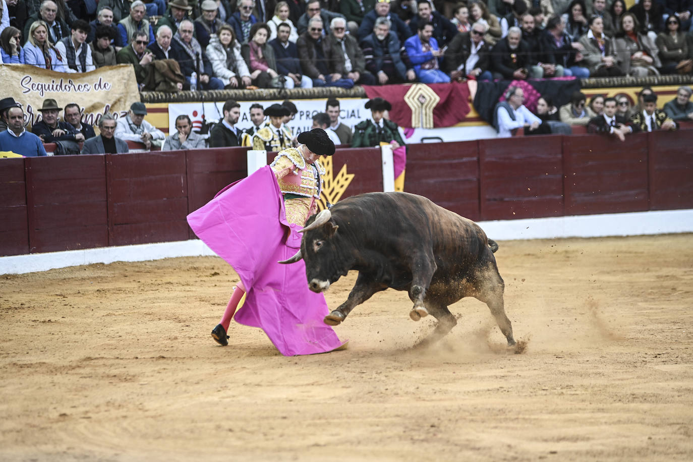 Fotos: Triple triunfo en Olivenza